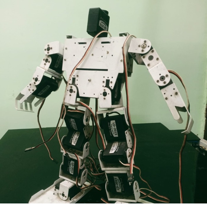 Humanoid Robot